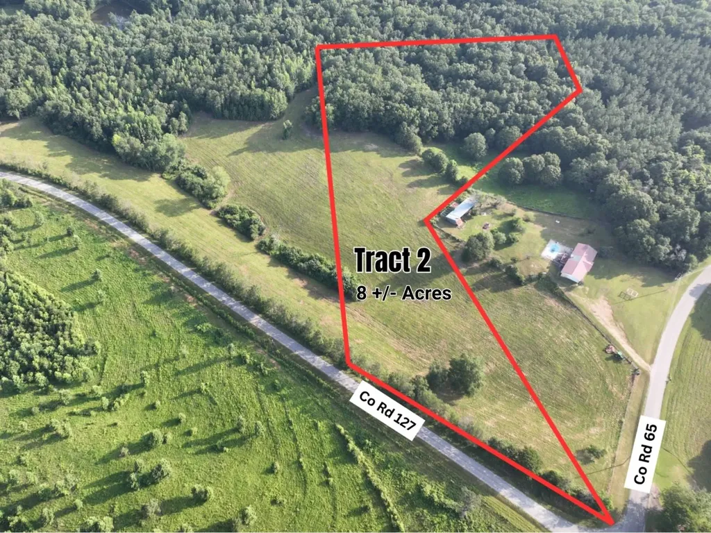 Tract 2 County Road 127 Roanoke AL 36274