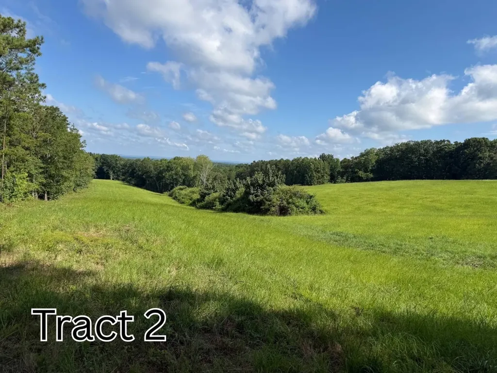 Tract 2 County Road 127 Roanoke AL 36274