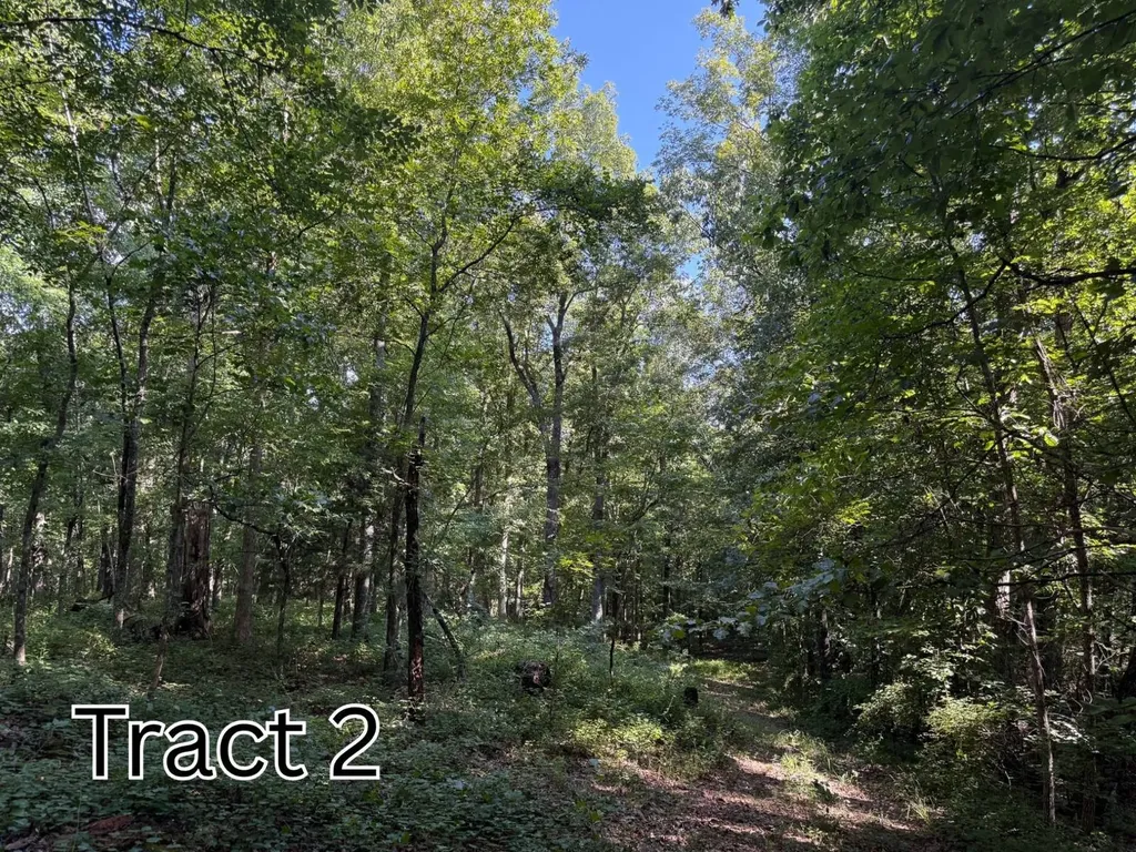 Tract 2 County Road 127 Roanoke AL 36274