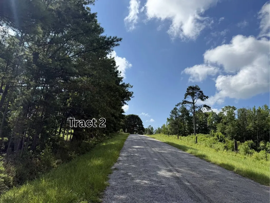 Tract 2 County Road 127 Roanoke AL 36274