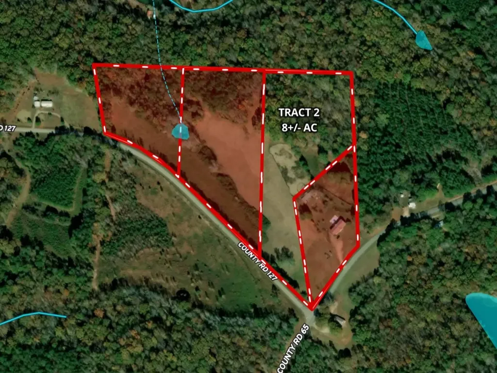 Tract 2 County Road 127 Roanoke AL 36274