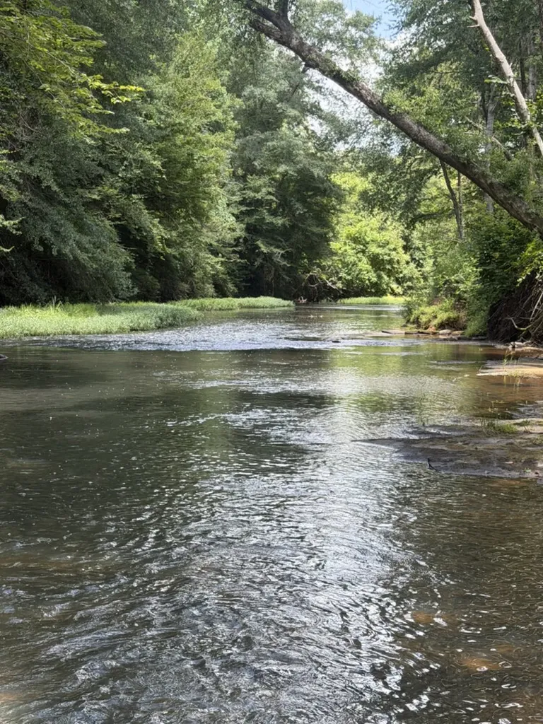 Berry AL, The Ranch At Riverside Retreat, Unit Lot 60