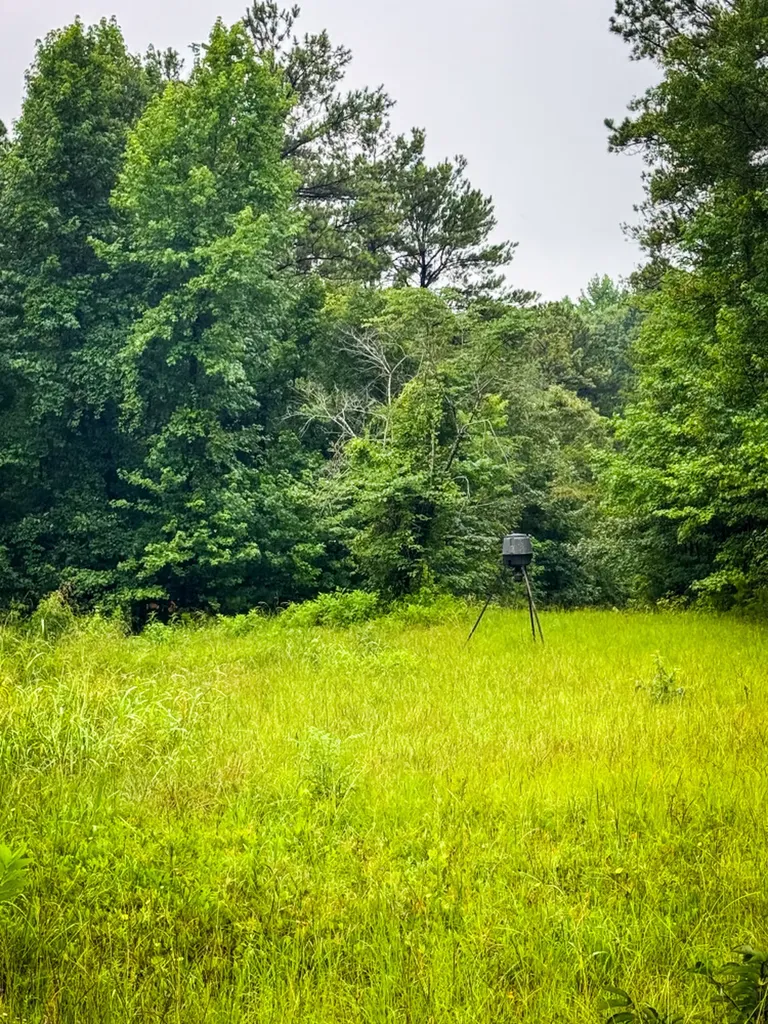 0 Highway 50 Dadeville AL 36853