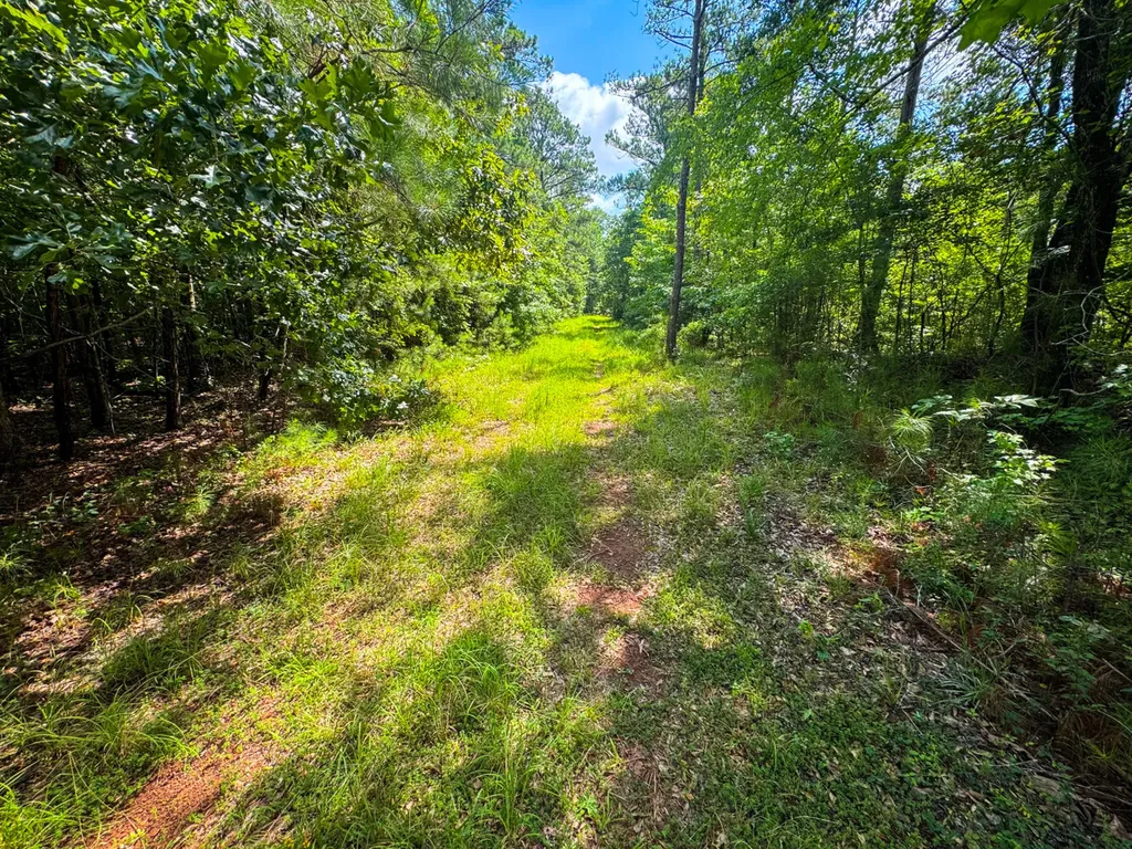 0 Highway 50 Dadeville AL 36853