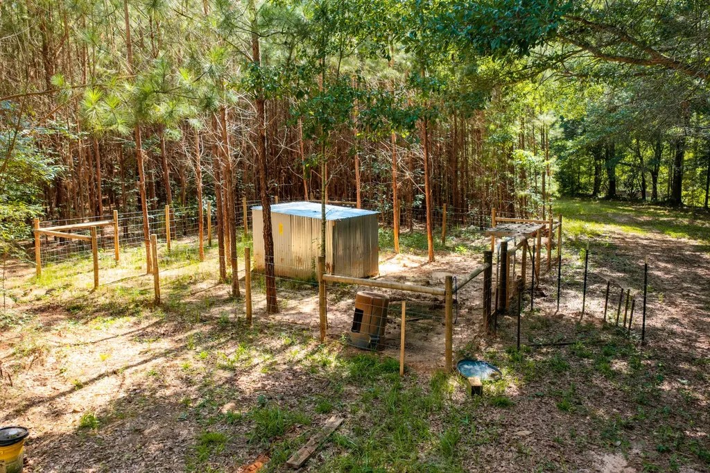 1882 County Road 4419 Brundidge AL 36010