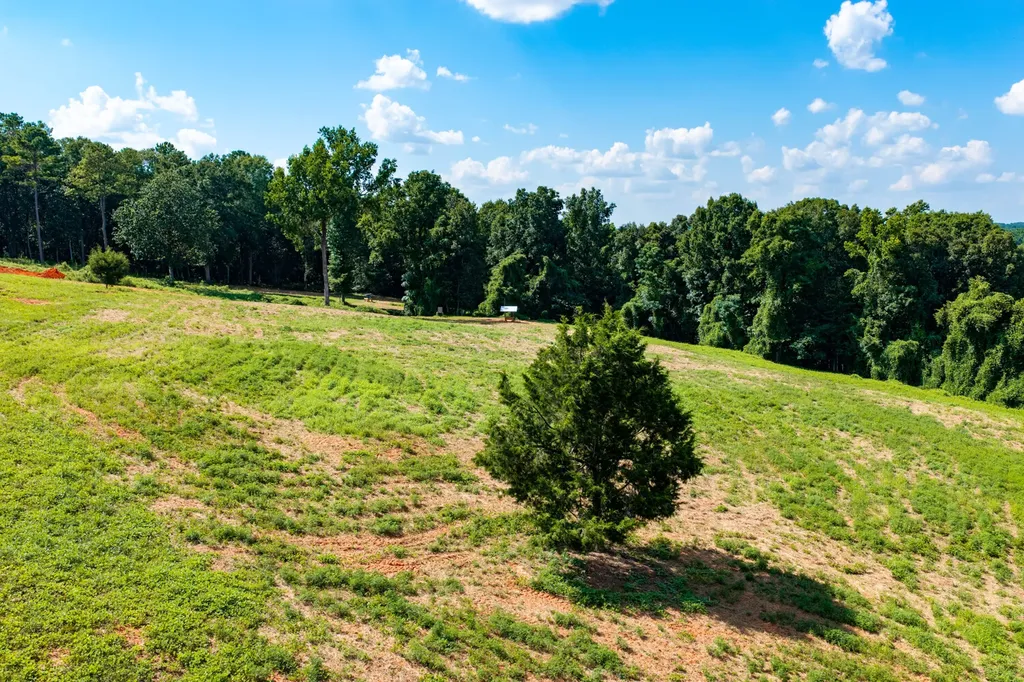 1882 County Road 4419 Brundidge AL 36010