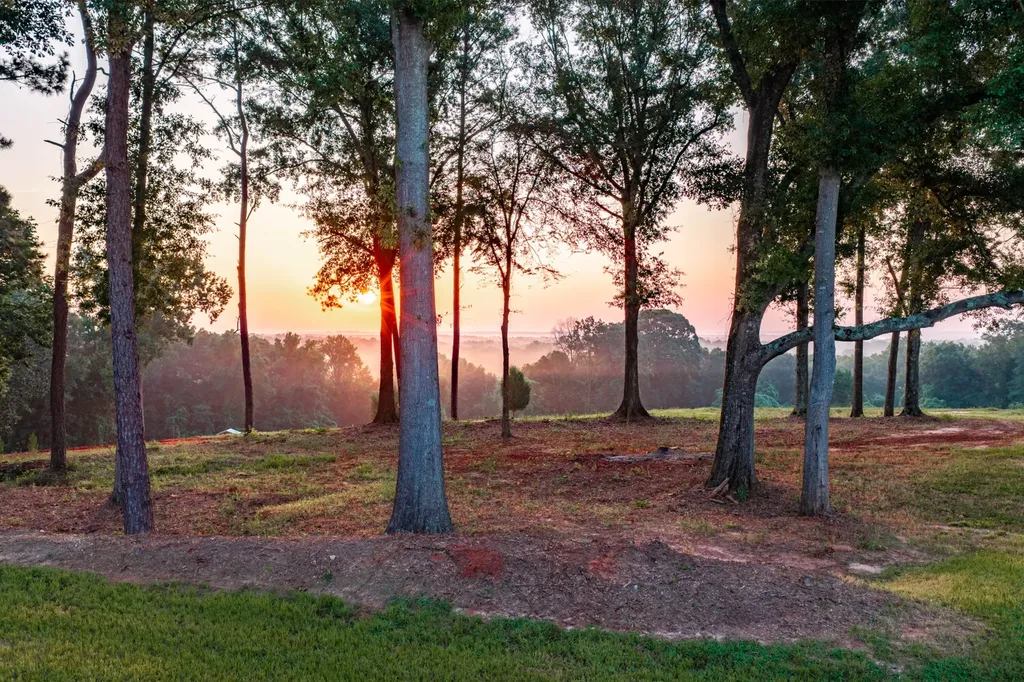 1882 County Road 4419 Brundidge AL 36010