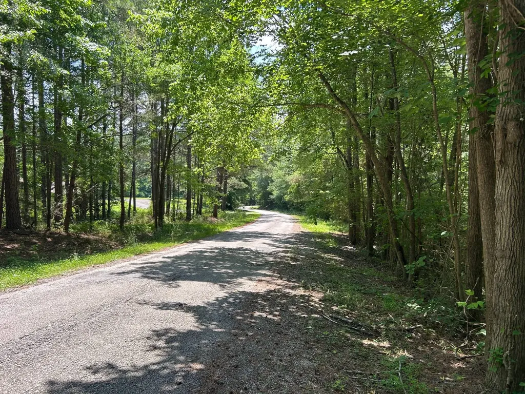 0 Fish Hatchery Road Carbon Hill AL 35549