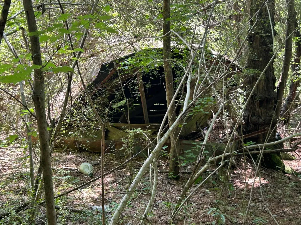 0 Fish Hatchery Road Carbon Hill AL 35549