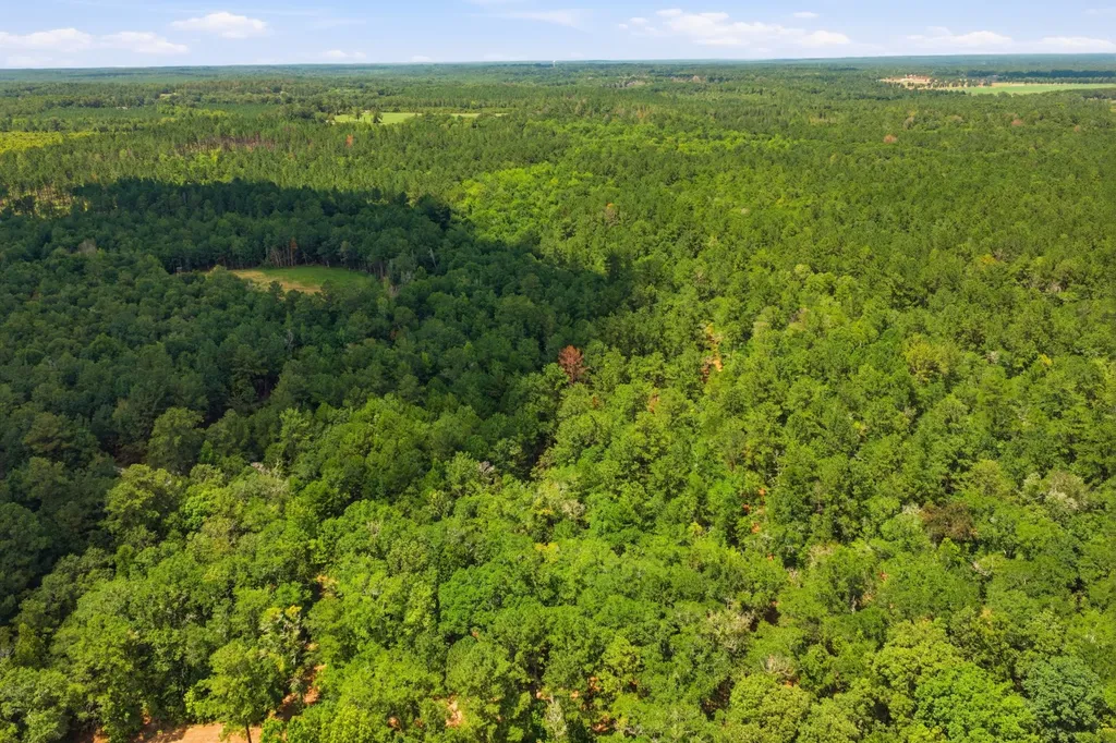 9191 Prestwood Bridge Road Andalusia AL 36421