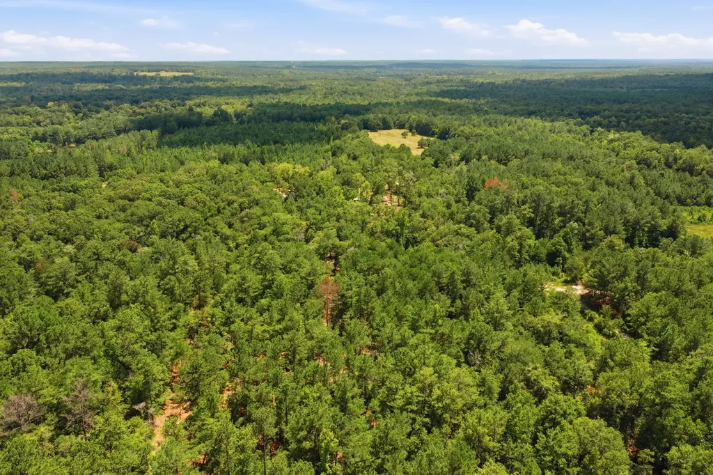 9191 Prestwood Bridge Road Andalusia AL 36421