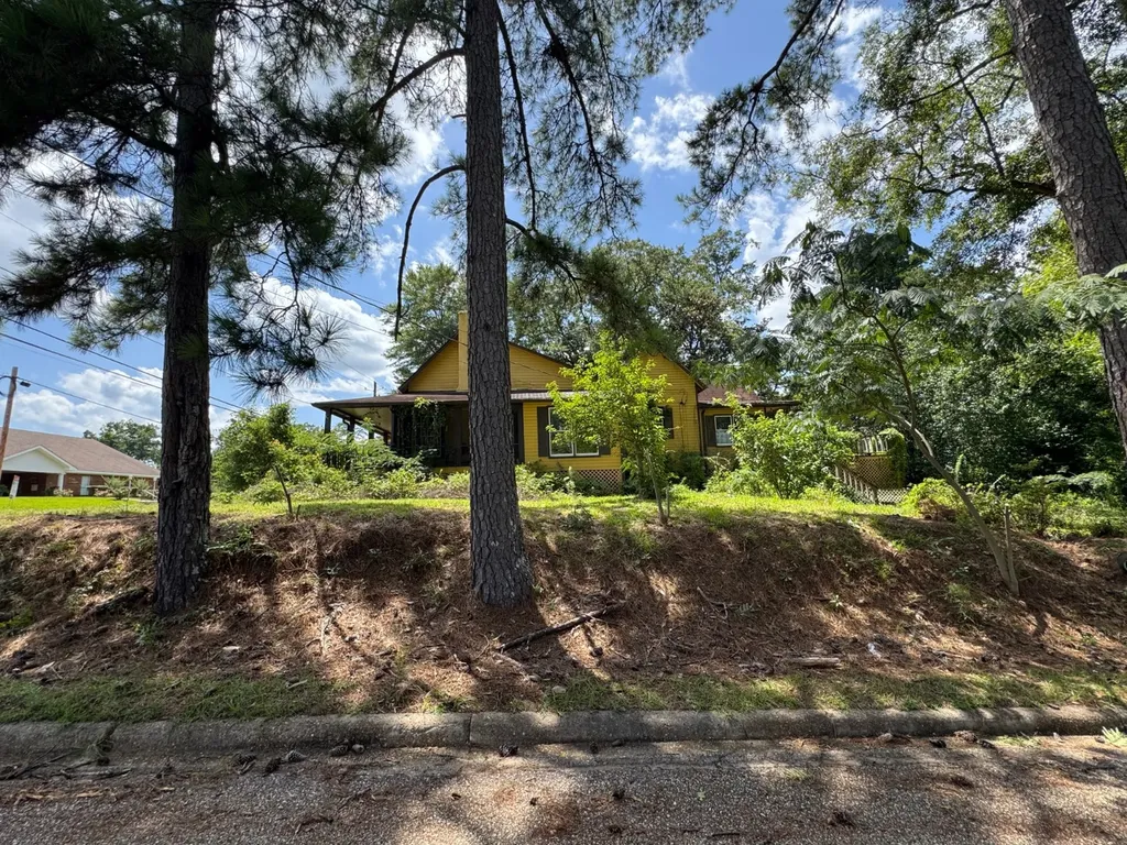 208 West Mill Street Georgiana AL 36033