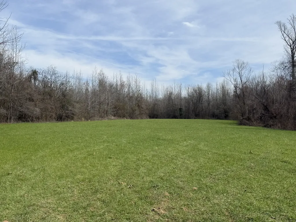 0 Whitfield Road Tract A Moundville AL 35474