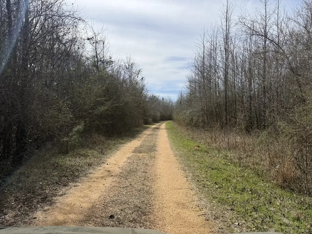 0 Whitfield Road Tract A Moundville AL 35474