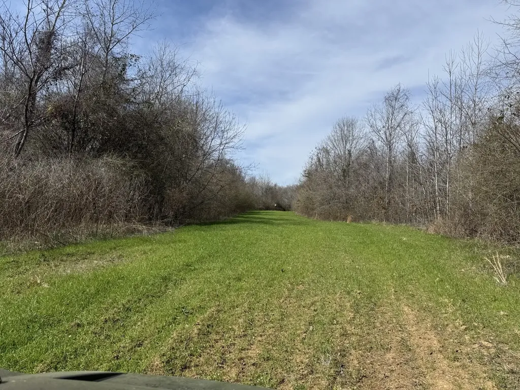 0 Whitfield Road Tract A Moundville AL 35474