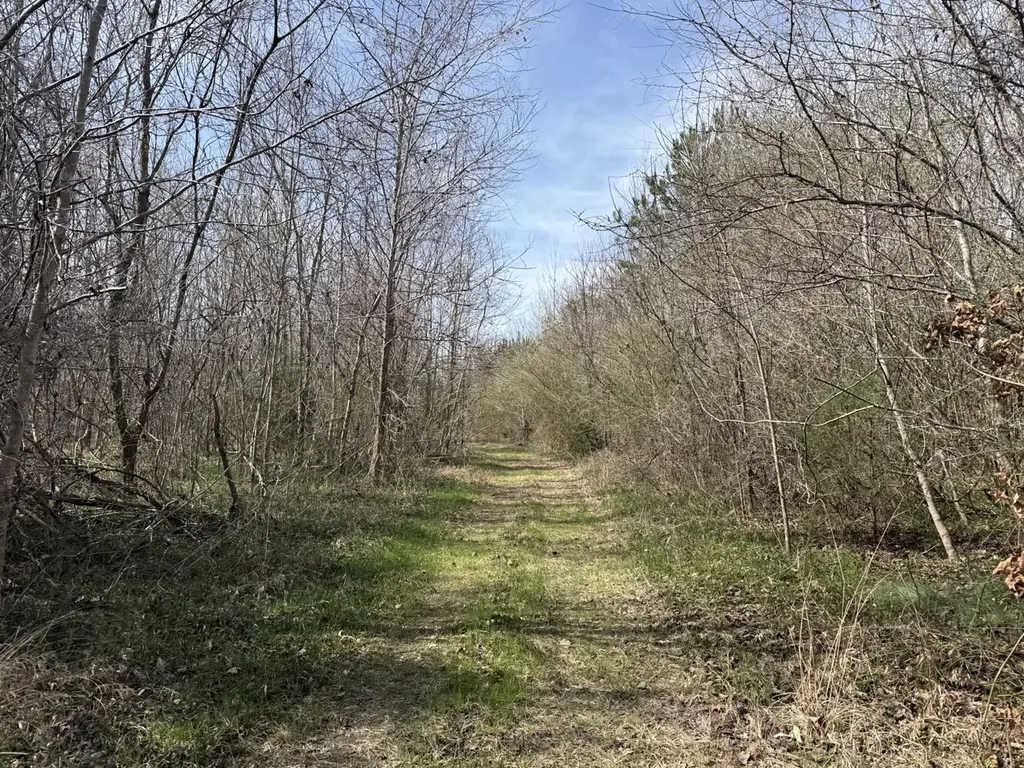 0 Whitfield Road Tract A Moundville AL 35474