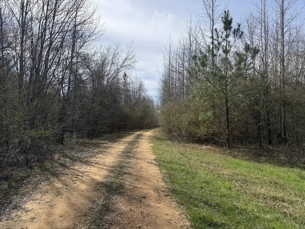 0 Whitfield Road Tract A Moundville AL 35474
