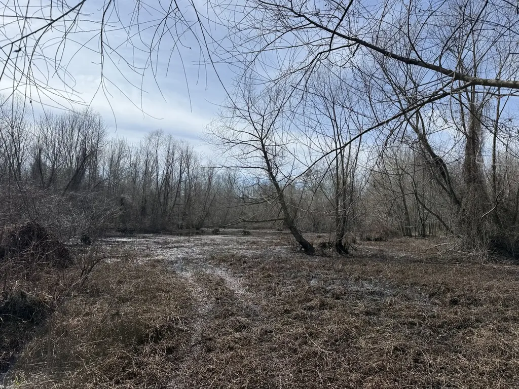 0 Whitfield Road Tract A Moundville AL 35474