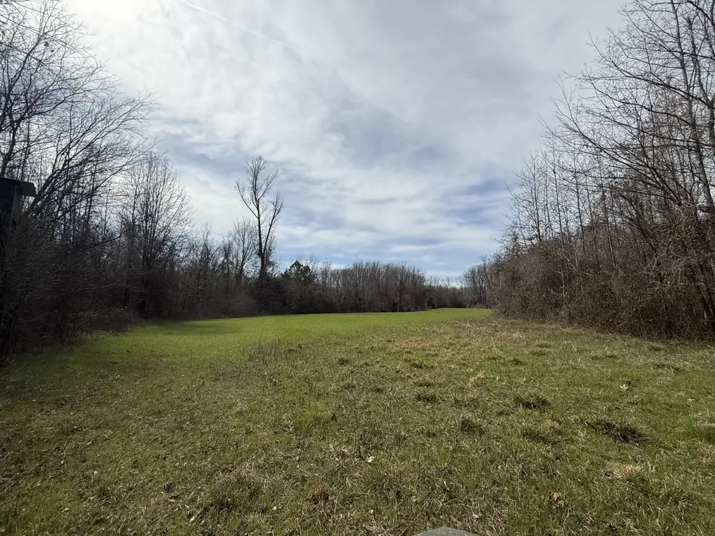 0 Whitfield Road Tract A Moundville AL 35474