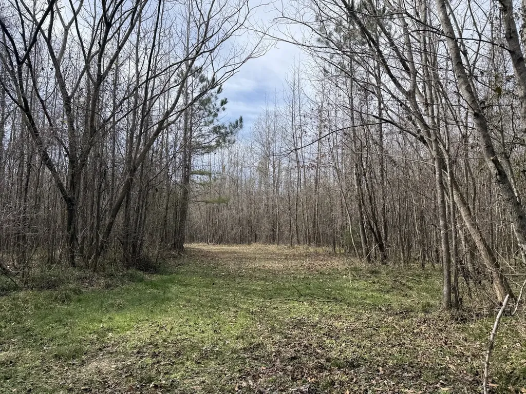 0 Whitfield Road Tract A Moundville AL 35474