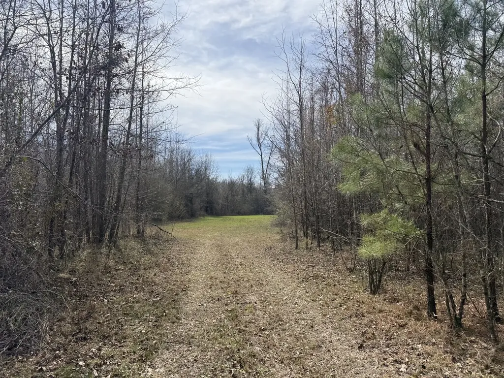 0 Whitfield Road Tract A Moundville AL 35474