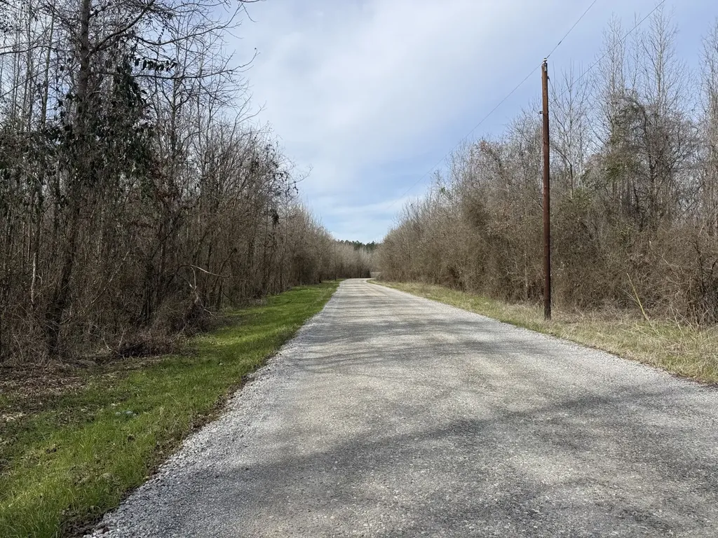 0 Whitfield Road Tract A Moundville AL 35474