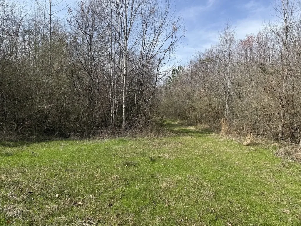 0 Whitfield Road Tract A Moundville AL 35474