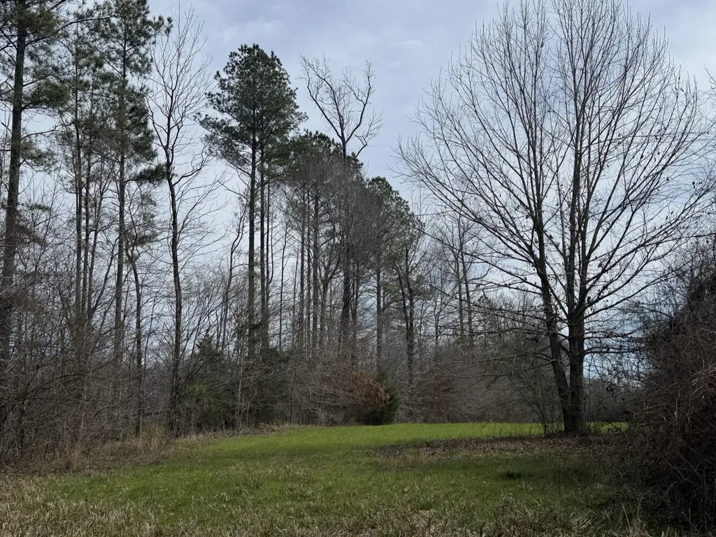 0 Whitfield Road Tract B Moundville AL 35474