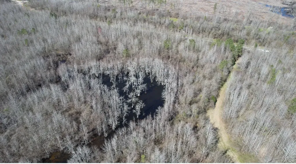 0 Whitfield Road Tract B Moundville AL 35474