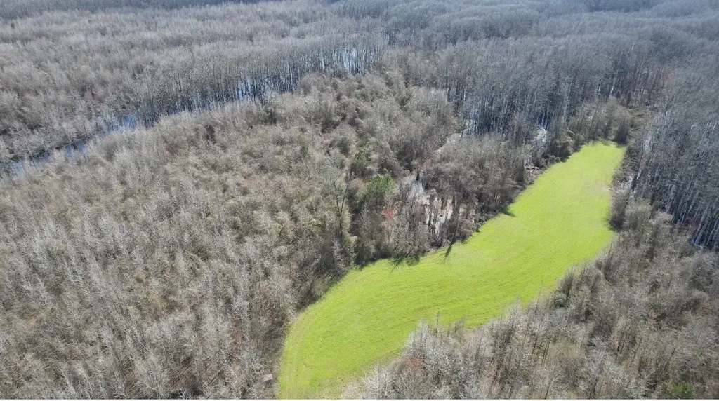 0 Whitfield Road Tract B Moundville AL 35474