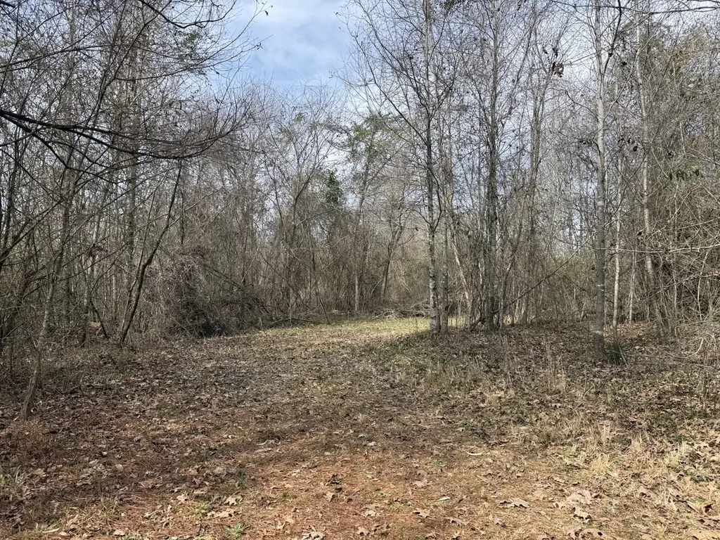 0 Whitfield Road Tract B Moundville AL 35474