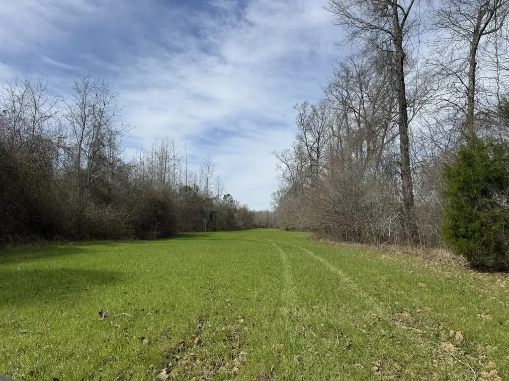 0 Whitfield Road Tract B Moundville AL 35474