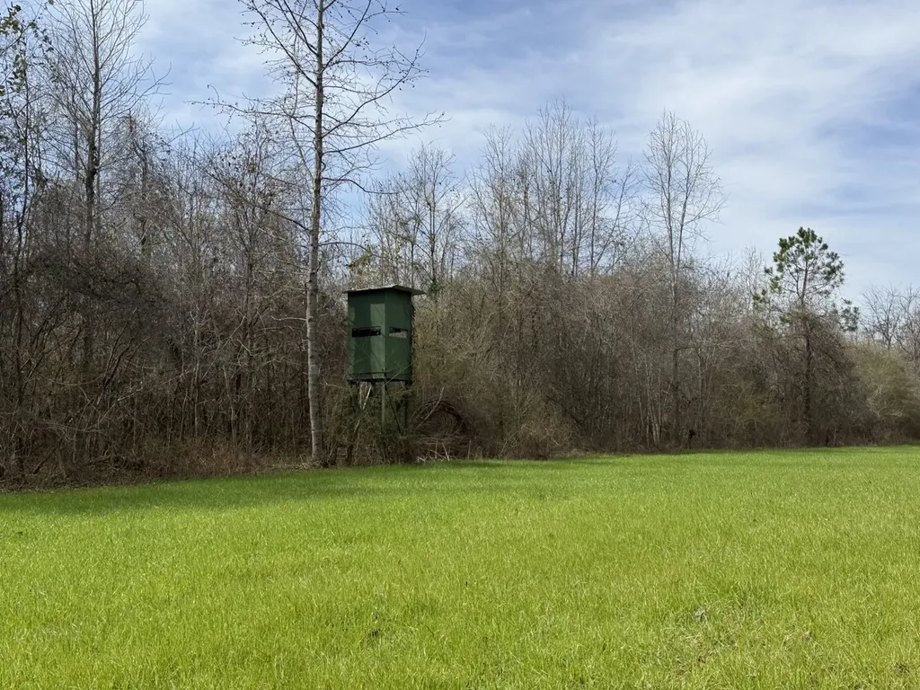 0 Whitfield Road Tract B Moundville AL 35474