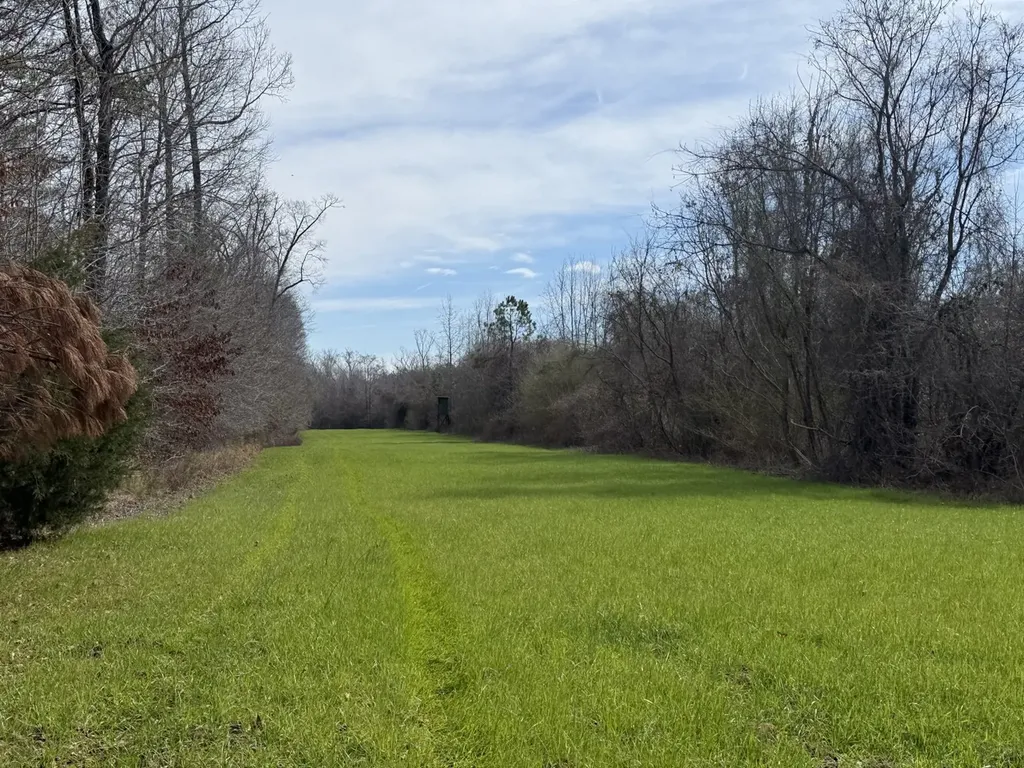 0 Whitfield Road Tract B Moundville AL 35474