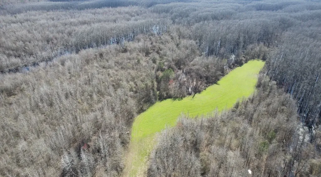 0 Whitfield Road Tract B Moundville AL 35474
