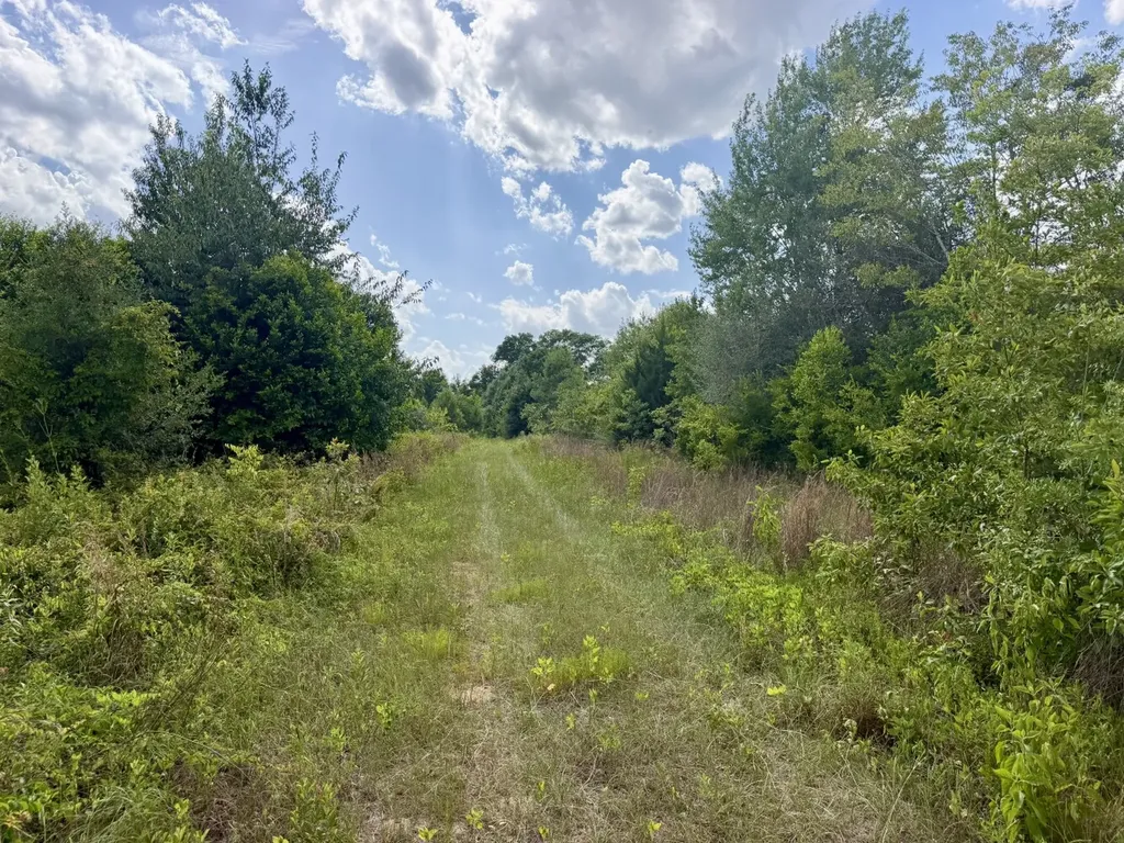 1 Highway 123 Wicksburg AL 36352