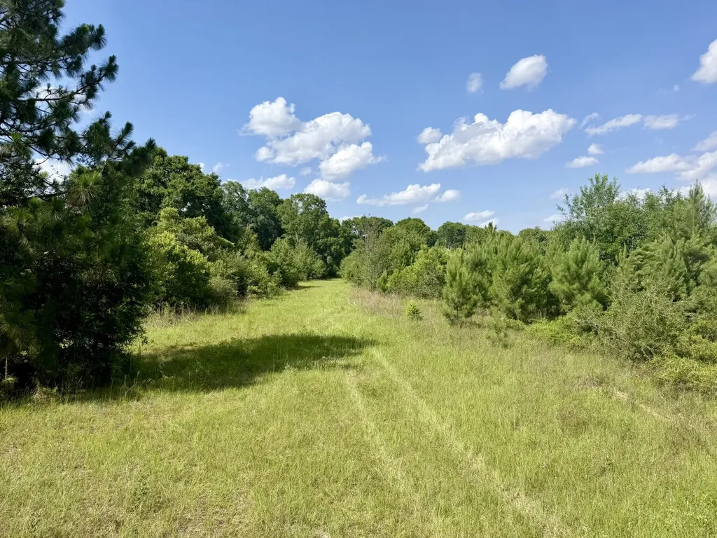 1 Highway 123 Wicksburg AL 36352