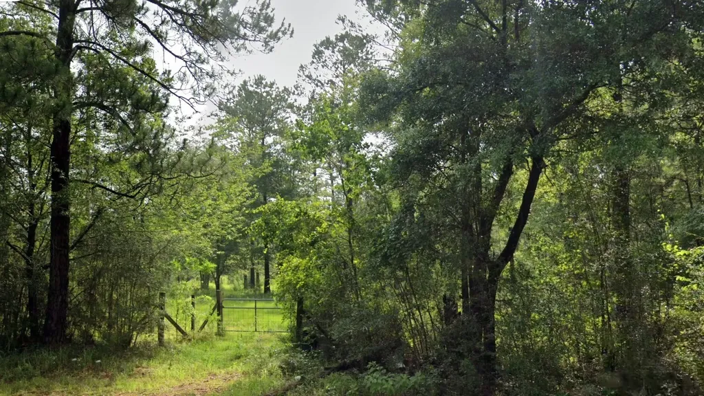 0 Jack Williams Road Wilmer AL 36587