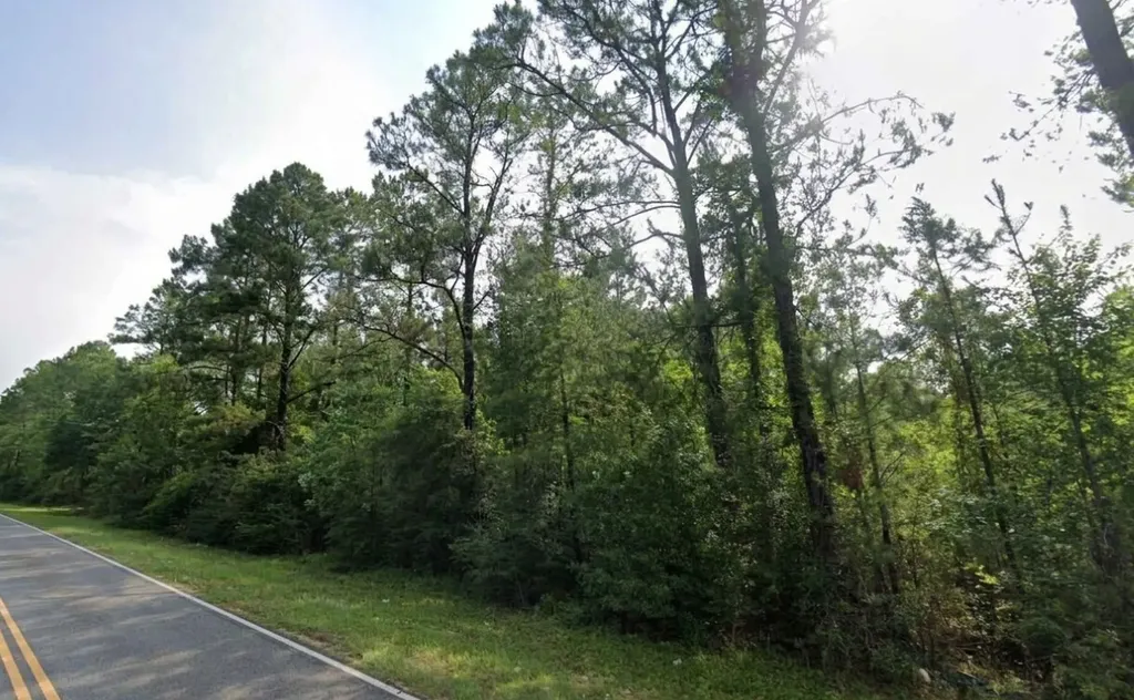 0 Jack Williams Road Wilmer AL 36587