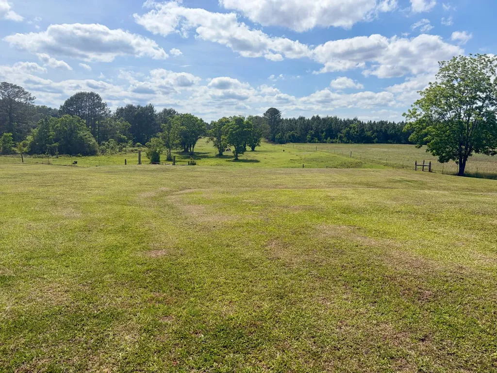 10954 Mckenzie Grade Road Georgiana AL 36033