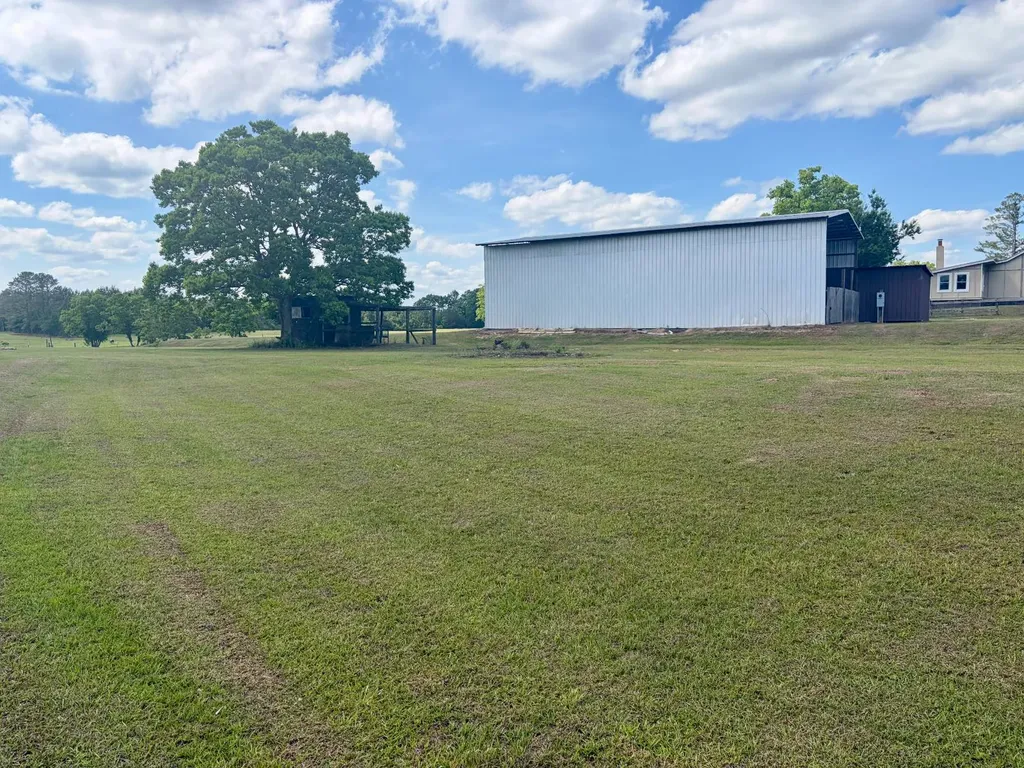 10954 Mckenzie Grade Road Georgiana AL 36033
