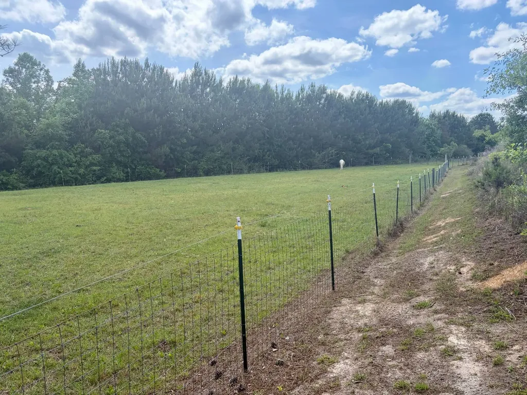 10954 Mckenzie Grade Road Georgiana AL 36033
