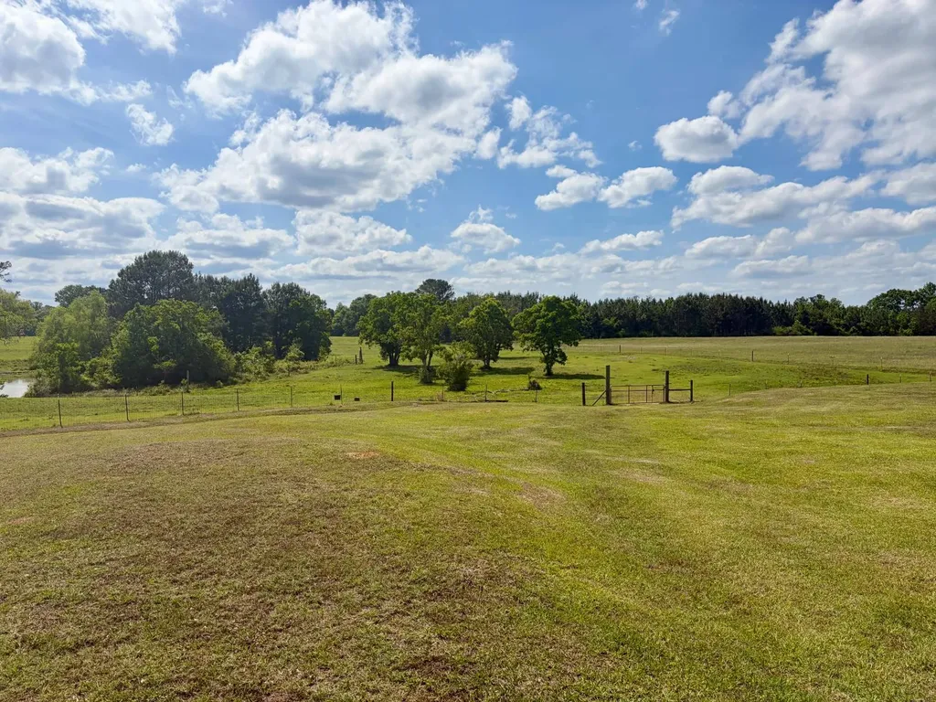 10954 Mckenzie Grade Road Georgiana AL 36033