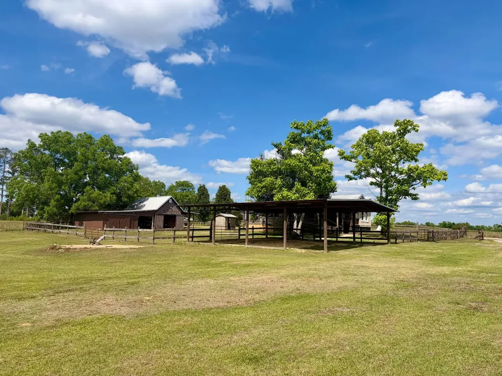 10954 Mckenzie Grade Road Georgiana AL 36033