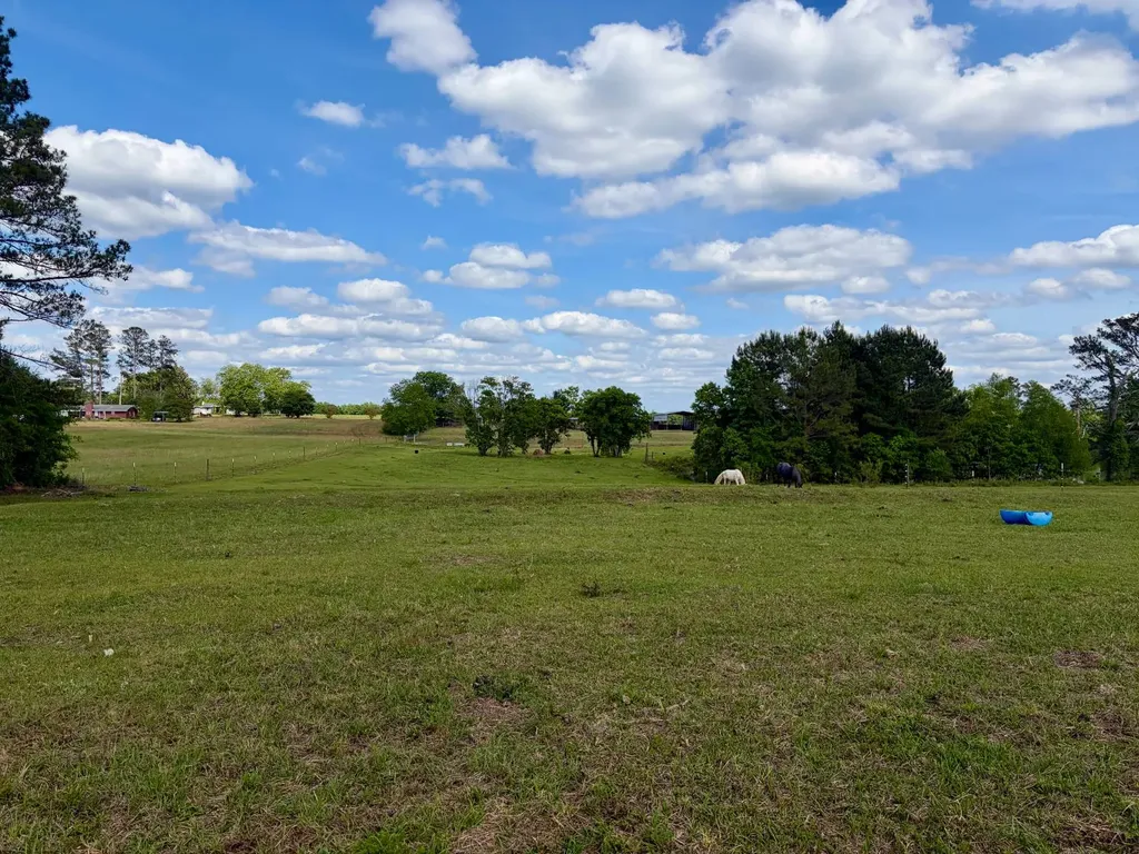 10954 Mckenzie Grade Road Georgiana AL 36033