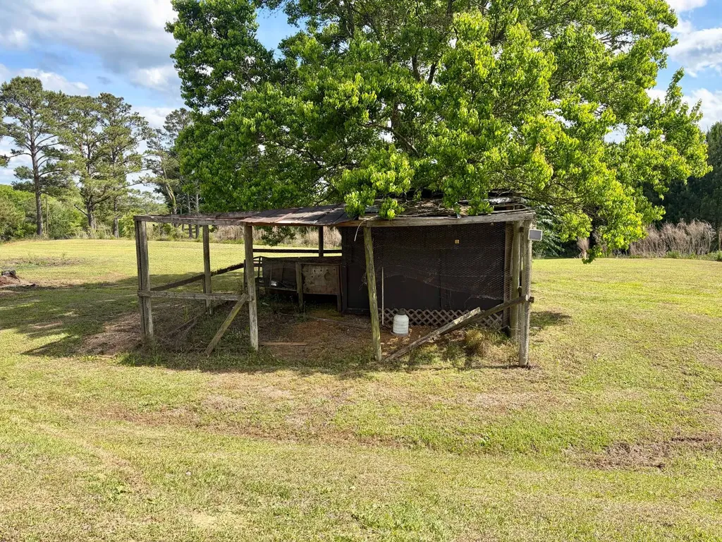 10954 Mckenzie Grade Road Georgiana AL 36033