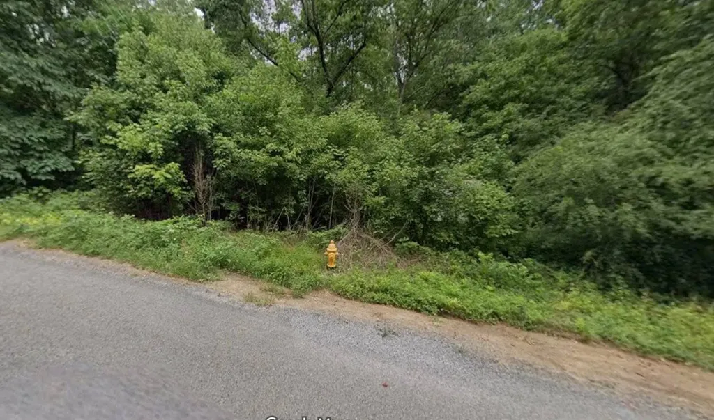 989 County Road Hanceville AL 35077