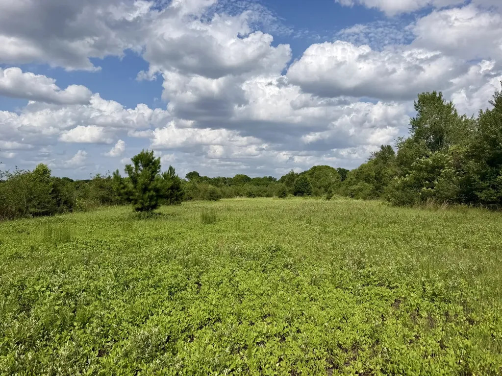 0 Highway 123 Wicksburg AL 36352