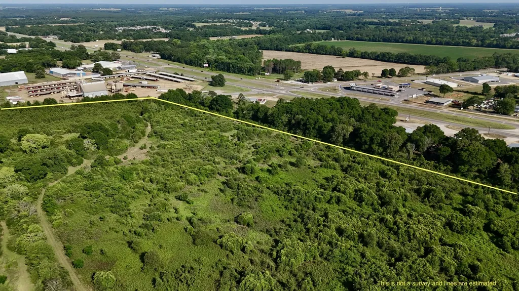 0 Highway 123 Wicksburg AL 36352
