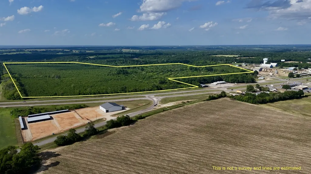 0 Highway 123 Wicksburg AL 36352